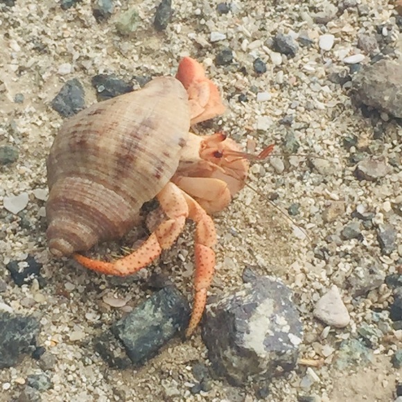 Meet your Posher, Tina - Picture 5 of 11